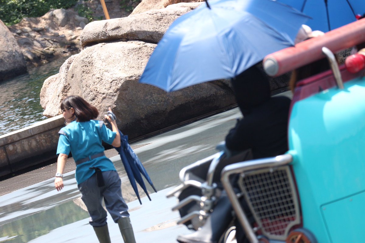 ひな D垢 アクアトピア止まっちゃって 日差しが強いから日傘を出し 長靴と脚立を出すディズニーキャスト神対応 Twitter上にいるdヲタ全員と繋がるのが密かな夢だったりするのでとりあえずこれを見たdヲタはrtもしくはフォローしていただけると