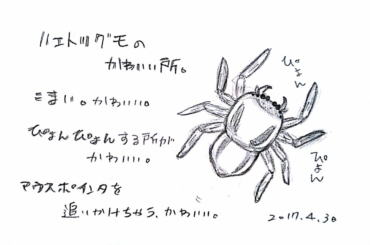 ハエトリクモ Twitter Search Twitter