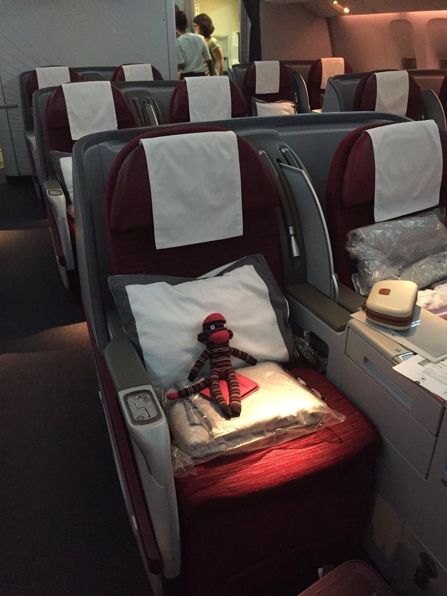 Im_Molly_Monkey's tweet photo. Soaking up business class #monkeybusiness #legroomforlittlelegs https://t.co/qjnTiYWZUF