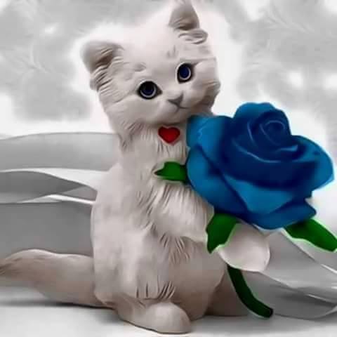 Emma Gouda Emam Goud tweet media