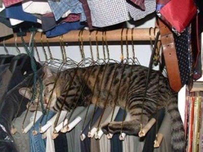 私には敵が多い、だから私は幸せだ。