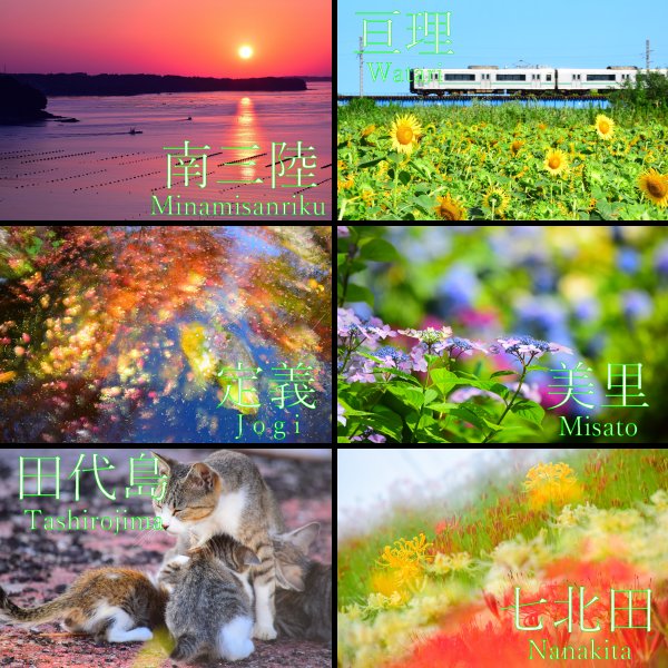 hoshi1105's tweet photo. フォロワーさんがやってたのを真似してみました！宮城県の良い所をまとめて紹介します！
#ファインダー越しの私の世界 
#写真好きな人と繋がりたい 
#東北が美しい　#東北でよかった https://t.co/tFdIkE8RPO