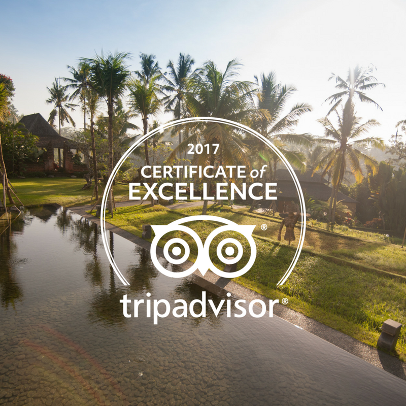Thank you so much for your amazing reviews !