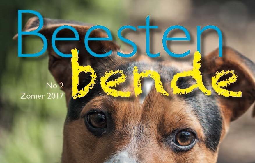 Vernieuwd magazine voor Dierentehuis <a href="/Stevenshage/">Stevenshage</a> unity.nu/Artikelen/regi…
