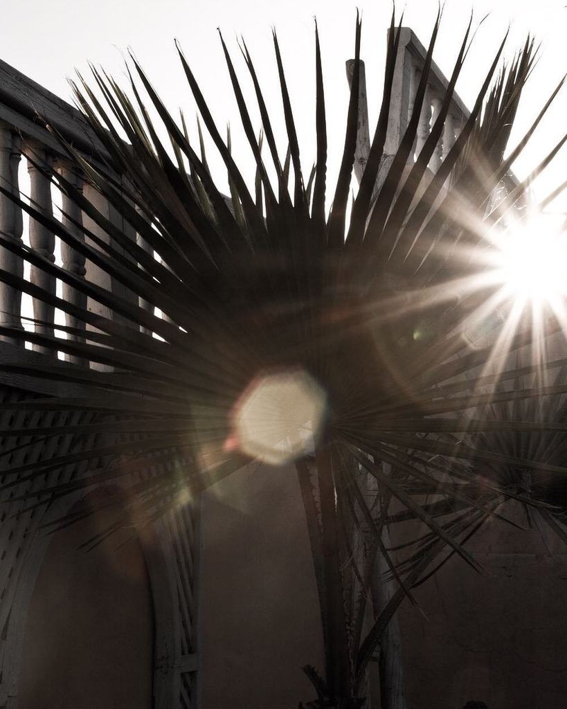 Definitely a summer kind of girl ☀️🌴 #summerinthecity #summervibes #fashionvictresstravels ift.tt/2sLZ0DH