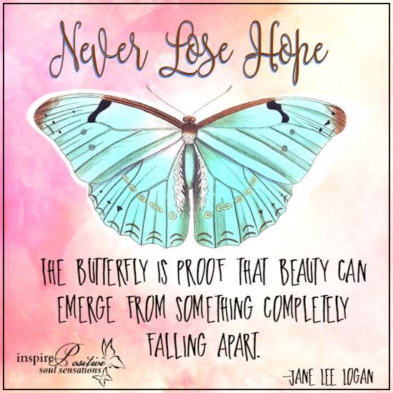 Inspiration & More tweet media