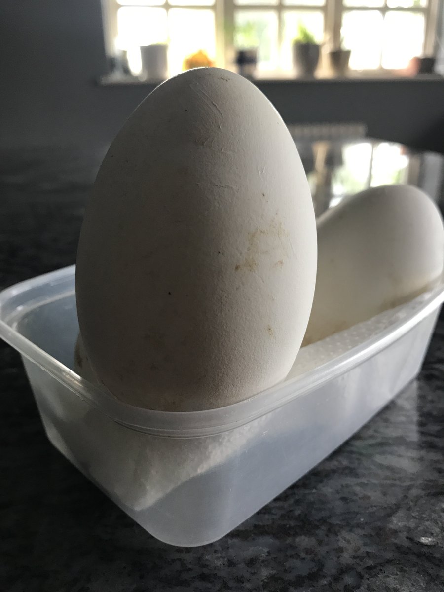 Keith Chegwin tweet media