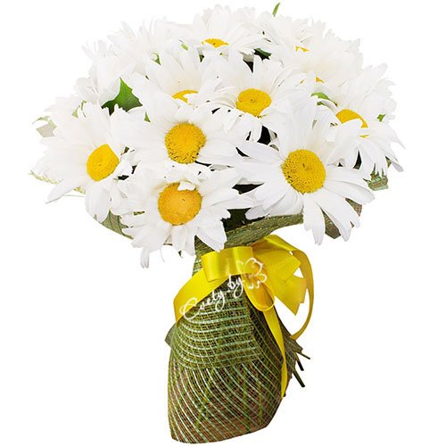 CvetyBy's tweet photo. #Букет #Ромашки
Цена: $39
https://t.co/Ke1WqoFjvv 

#цветы #подарки #доставка #доставкацветов #минск #беларусь https://t.co/5g6uadm6tk
