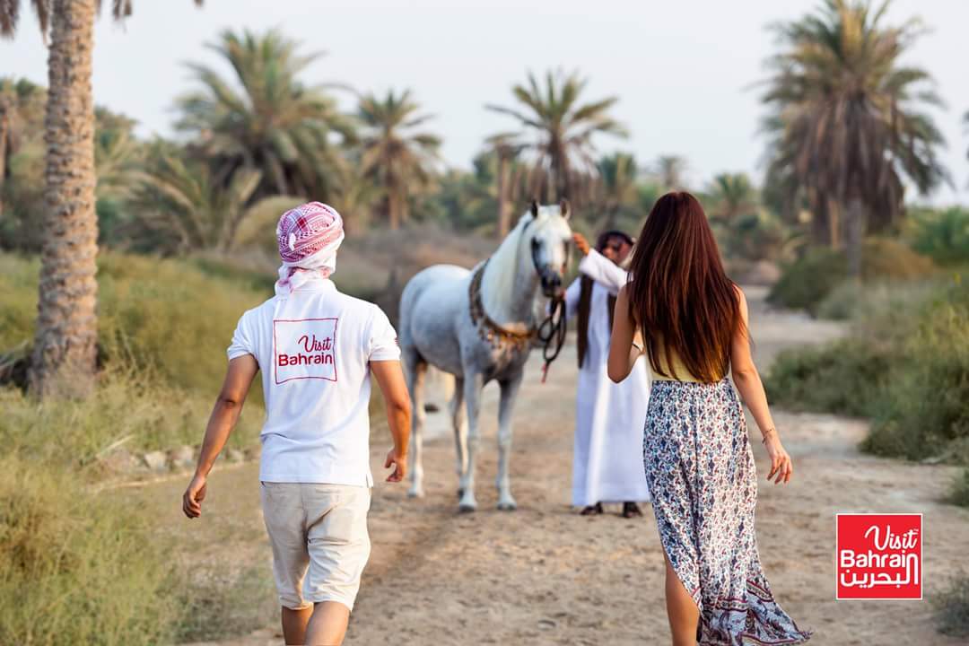 Hiring Immediately: Part Time Tour Guides. JOIN OUR TEAM! 4 hours/Day | Year Round Contract

Must Speak Fluent: English &amp; Arabic