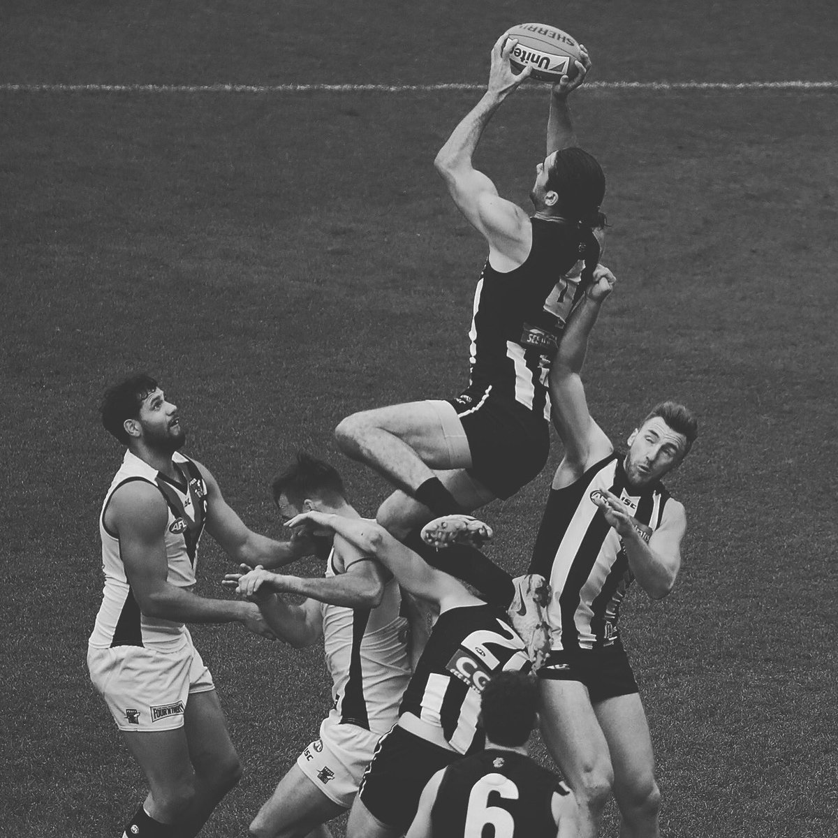 PiesNation's tweet photo. IS IT GRUNDY!!!??? 😵🙌 #howeaboutthat @brodiegrundy #sidebyside #piesnation #gopies https://t.co/xWmMQCjOWZ