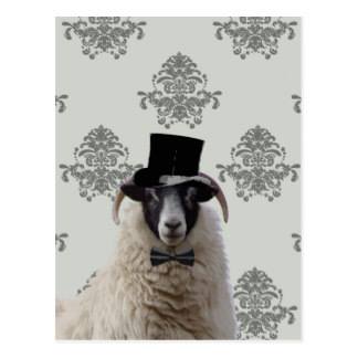 Come to see the show sheep at our Church Fete! Stalls, refreshments, fun &amp; games: 1-4 pm, Vicarage by St. Cuthbert's, Wroxham Rd, Sprowston.