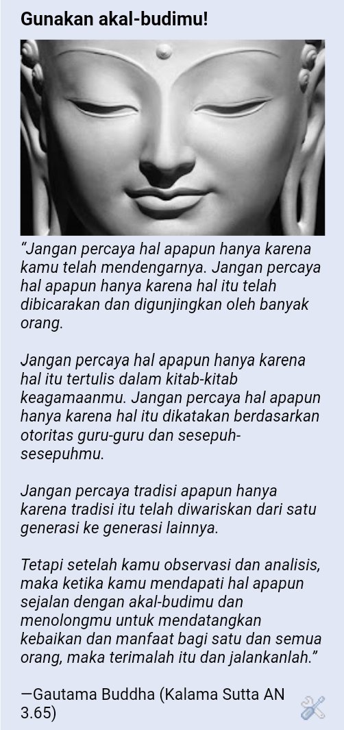 Nana Tan tweet media