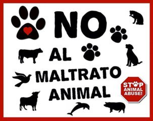guardiacivil's tweet photo. Un animal no puede denunciar, sé tú su voz #Noalmaltratoanimal Colabora #062 https://t.co/jzXS7RF8kI