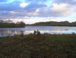 My 1st open water swim of the year at #weirwoodreservoir #thisgirlcan                        (photo courtesy of Wikipedia)