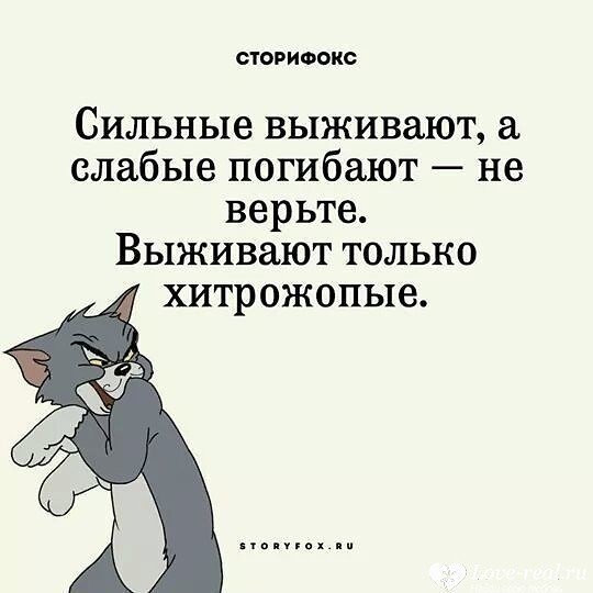 Biathlonik2's tweet photo. https://t.co/s7CSTLlouV