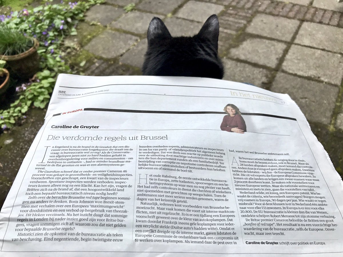 chrisbuijink's tweet photo. Mooie column @CarolineGruyter in @nrc over de onverwachte, maar terechte herwaardering van de #bureaucratie: https://t.co/NDKJa5nh9B