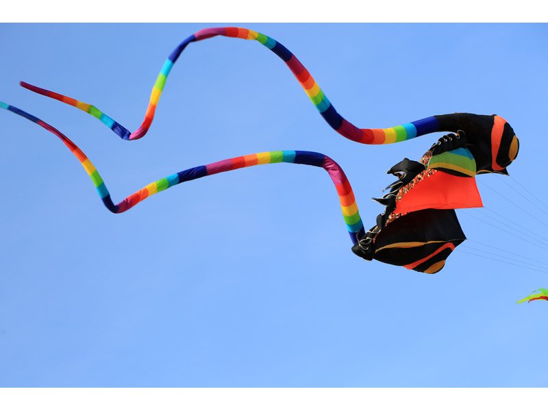 Kite Flying Festival This Weekend dlvr.it/PPmG1R https://t.co/OOkKAuPUUY