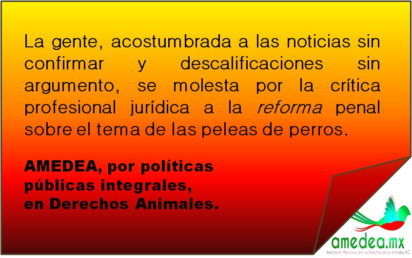 Gustavo Larios tweet media