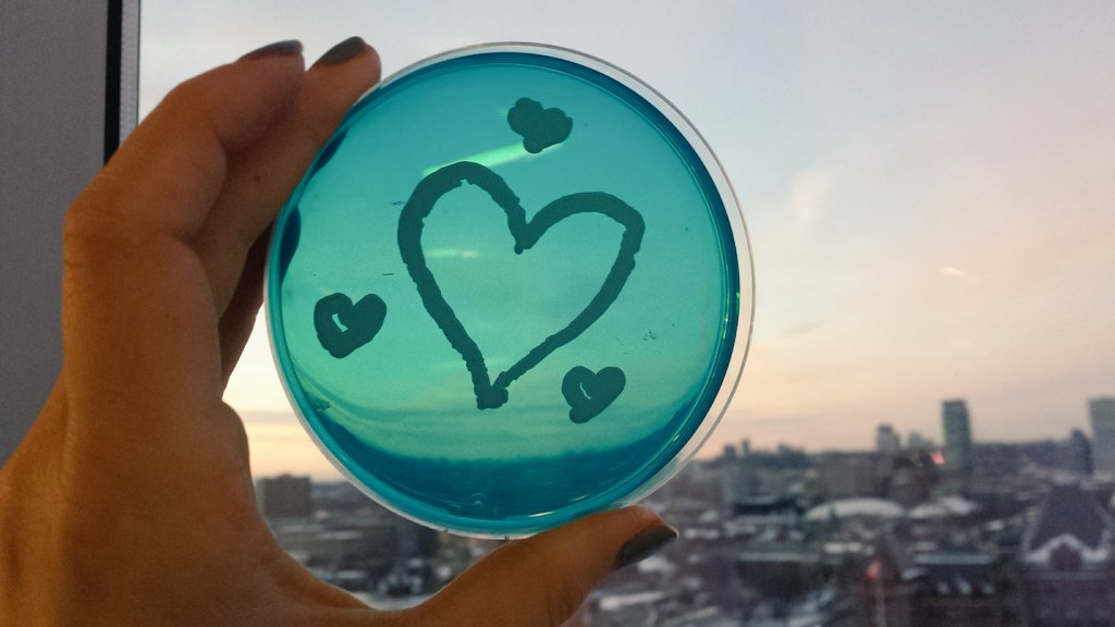 AmandaOVeri's tweet photo. Had a great week with incredible science & lots of micro love at #CSMWaterloo2017!! Thanks to the organizers @joshdneufeld @LAHug_ ! https://t.co/gOQt1UKiv1