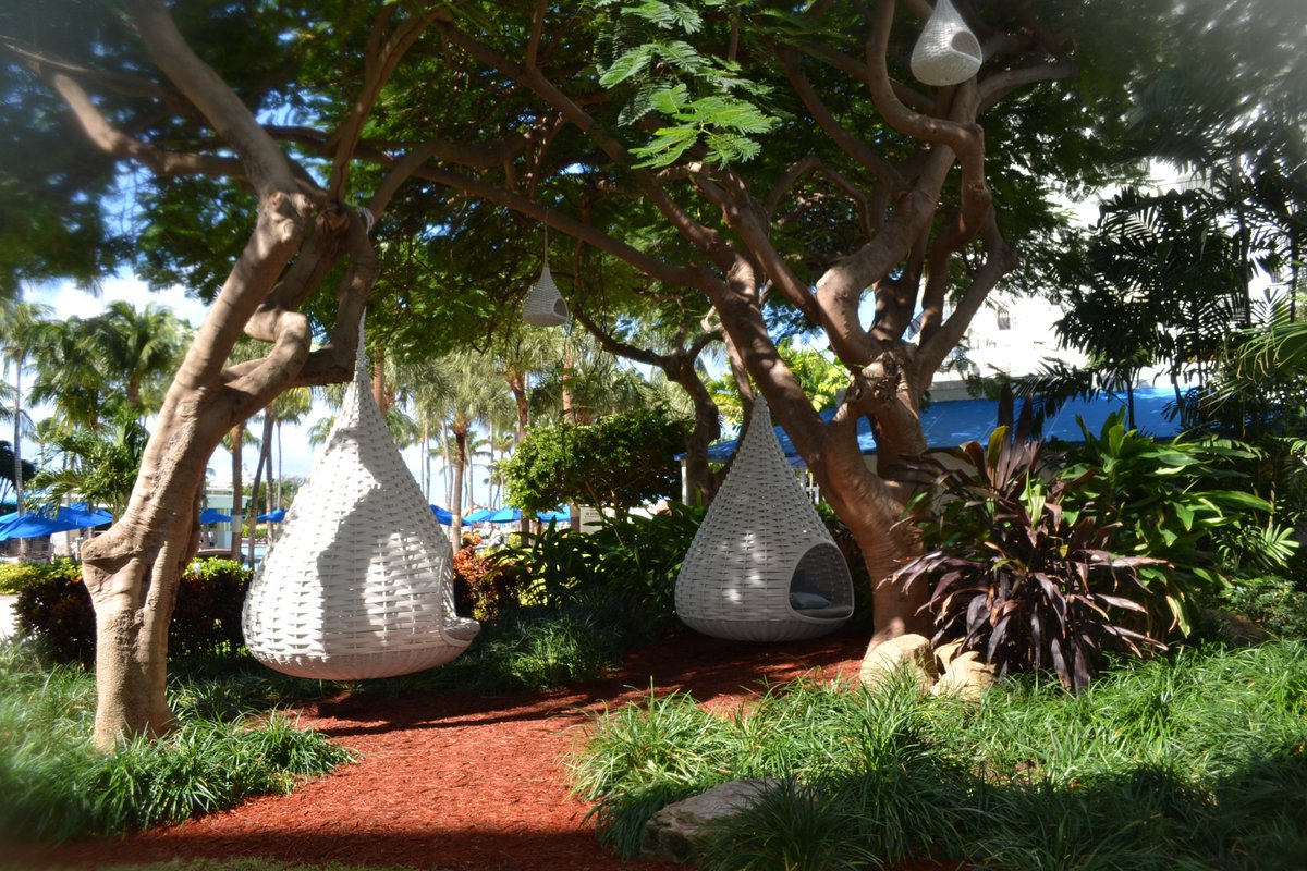 Aruba Marriott tweet media