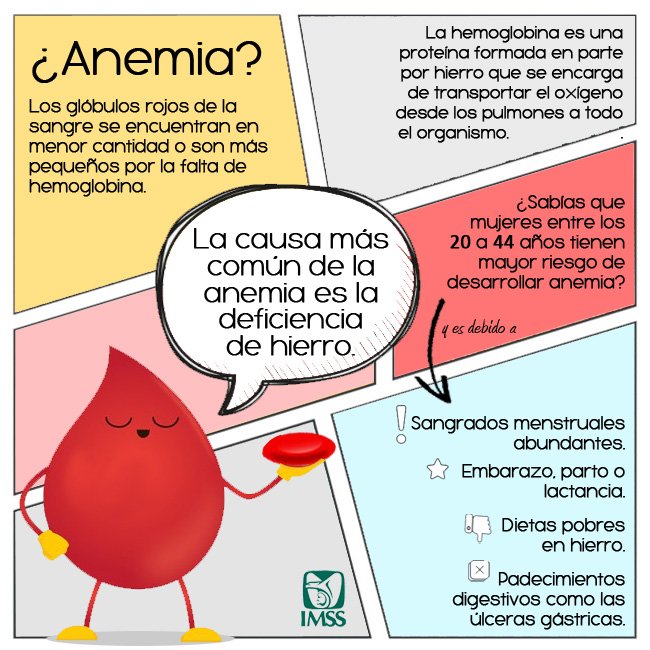 Causas De Anemia