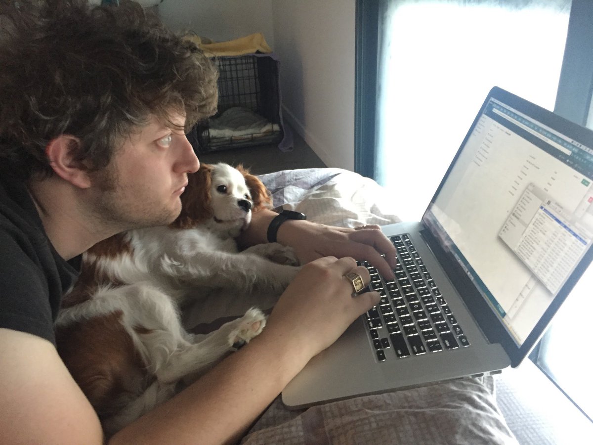 EarlyModrnMarge's tweet photo. @will_tosh Can corroborate this... Arthur's go-to move when anyone is on a laptop: (I think they may be allergic to not getting attention) https://t.co/hvRtmRj3XZ