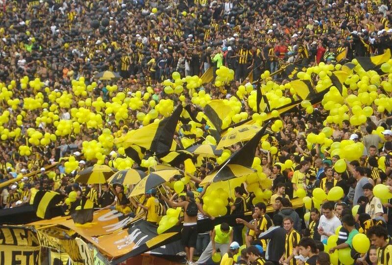 _MundoCarbonero's tweet photo. *ES HOY PEÑAROL💛♥💪👊 "!!! https://t.co/oy25DJ9CWd