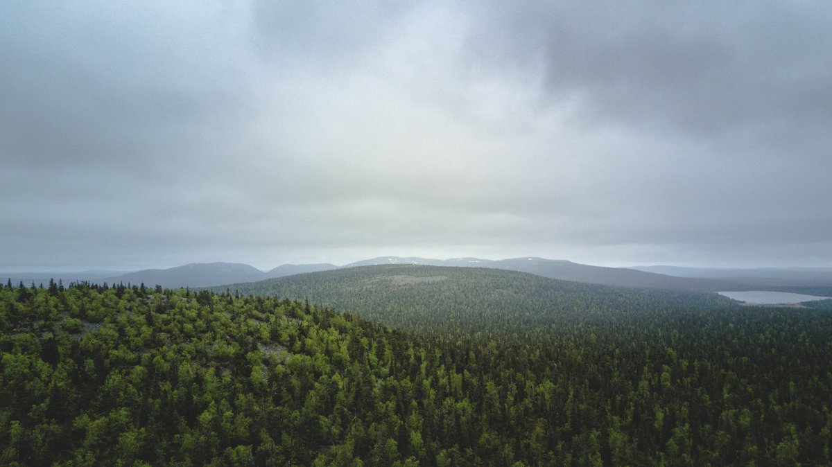 mikkorajala's tweet photo. Pyhä-Luoston vaelluksemme takana. Kotimatka Helsinkiin alkaa pian. Raskasta, mutta niin mahtavaa! #PyhaLuosto #kansallispuisto https://t.co/eYMBKdFzdS