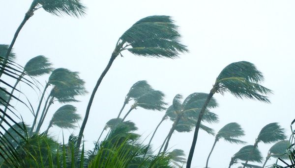 Cynthiapoet's tweet image. Cave holds clues to stormy #weather 8,200 years ago bit.ly/2tU3BDl #history