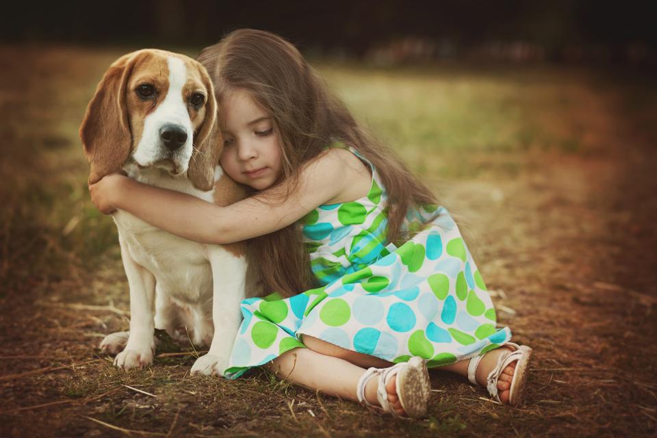 tvpjournal's tweet photo. Want To Speed Biomedical Research? Do It In Dog Years - https://t.co/ILsS6wK3rs https://t.co/pKz13IiUuY