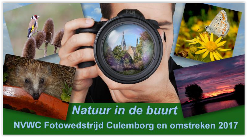 NVWCulemborg's tweet photo. Het kan nog: foto's insturen voor de junisessie van natuurfotowedstrijd van #NVWC, @CulemborgseCrnt en @Culemborg https://t.co/0JSwi0iGHl https://t.co/Go7NFTa2MI