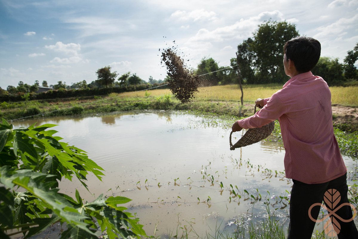 DSILCourse's tweet image. And that’s it! We are no longer able to accept #DSIL2017 applications. We’d like to thank you tremendously for your submissions.