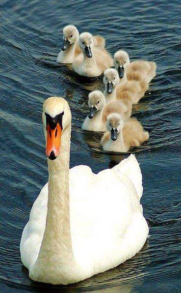 Álvaro (@alvarofb23) on Twitter photo 