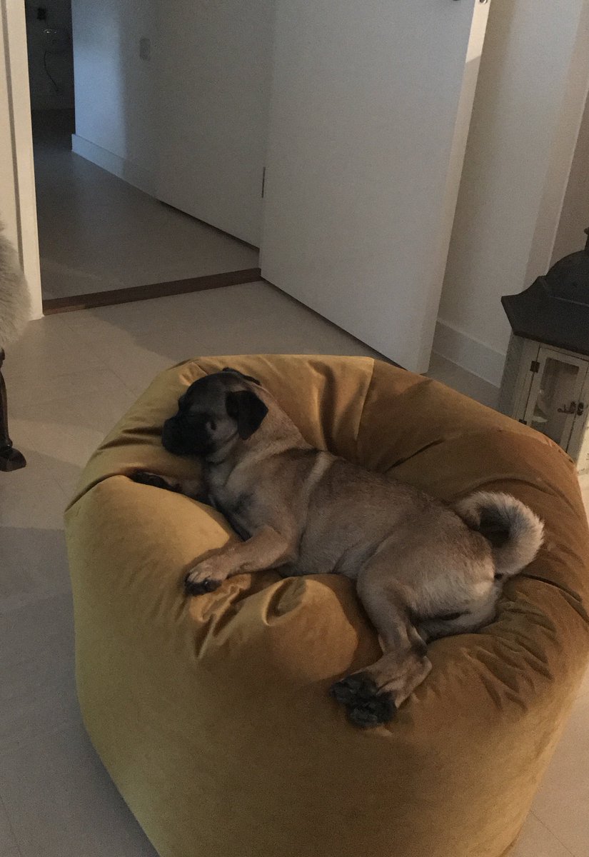 Borisjugson1's tweet photo. @themayhew- Well I've got my #firstbed‼️#mineallmine #lovingmynewlife https://t.co/L7dGqnC6Yx