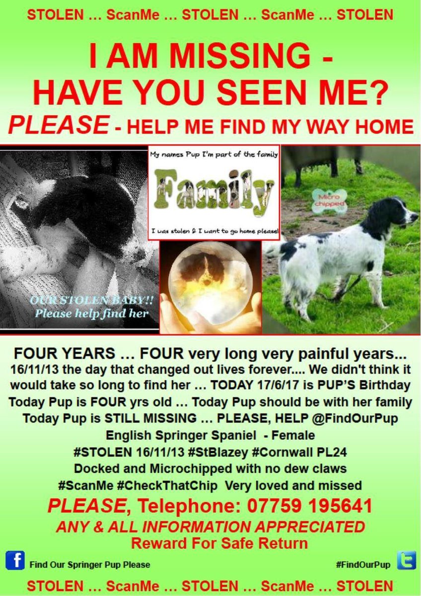 Missing_Pets1 tweet media