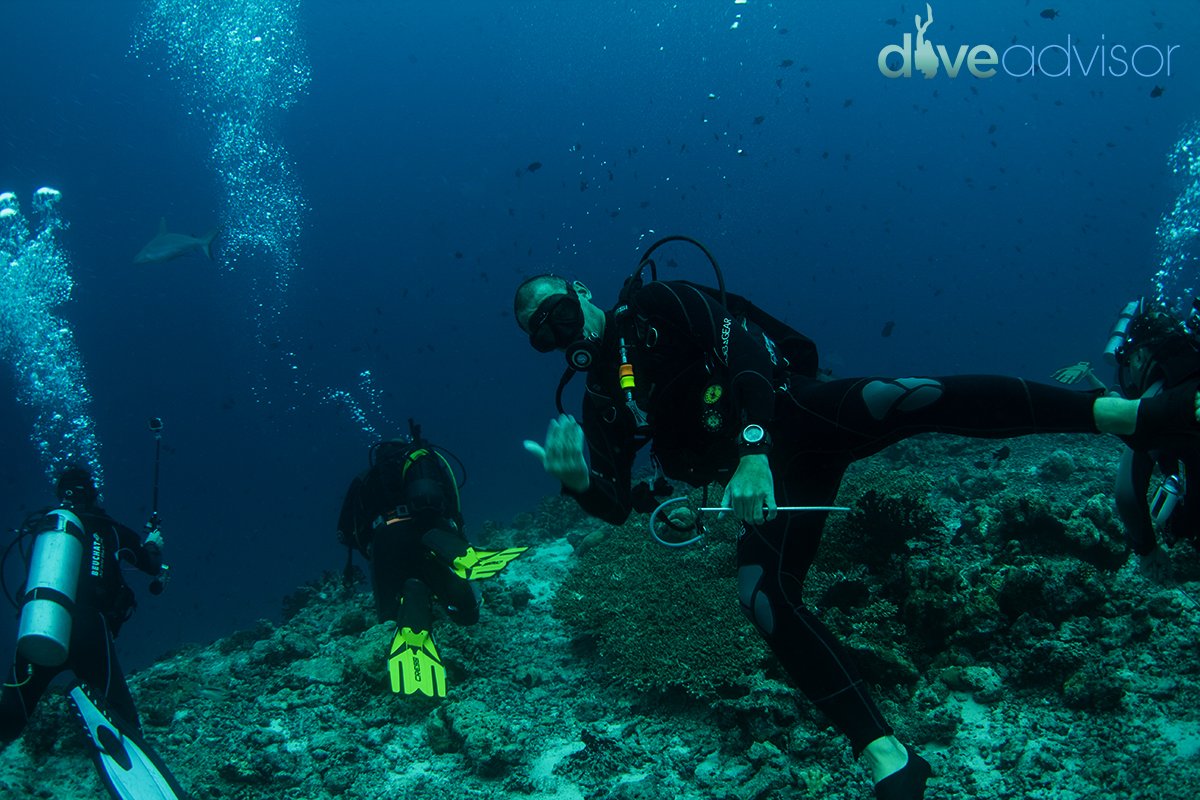 Let's go! The #underwaterworld awaits... Photo by <a href="/NoLabelInc/">Timur K</a> #scuba goo.gl/pdYrRI