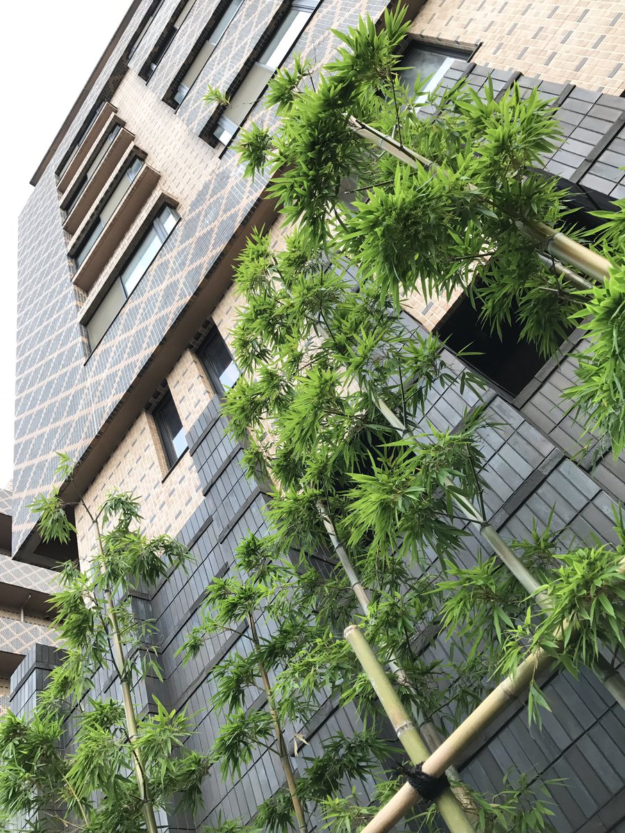 complexurbanism's tweet photo. #Complexurban #CPUTokyo #Ibstock @TheMSArch https://t.co/ndqnpxPKUQ