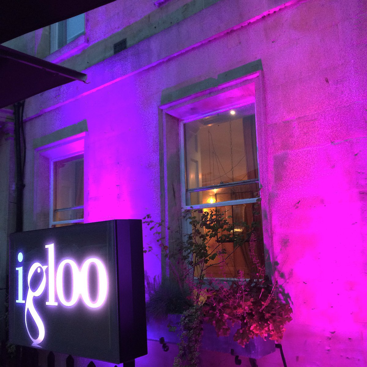 abbeyhotelbath's tweet photo. @pixieapp presents #IglooLive on Thursday 6th July, 7-11pm, with the usual treats, plus special #Pixie giveaways.. #freeentry #livemusic ๐ค๐ถ https://t.co/aNtGNib7ii