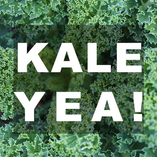 AmericanHeartSC's tweet photo. Check out these 7 ways to get more kale into your day #HealthyForGood #CSRAiswhy https://t.co/5bMcELGcfY @AUG_University https://t.co/8cNV3n5wyt