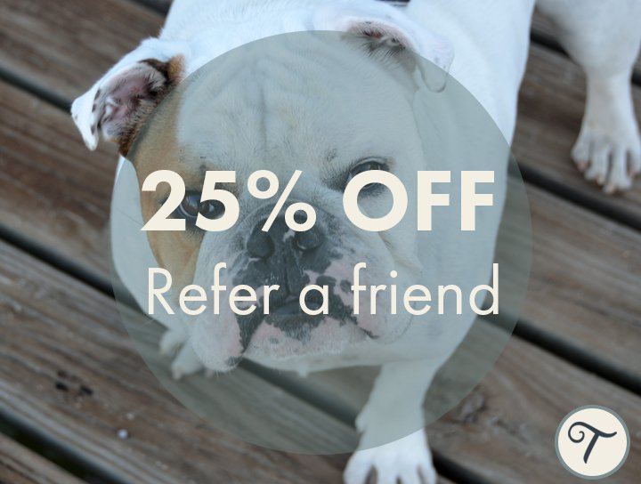 TailsatSeaham's tweet photo. If you've visited #Tails for a groom, did you know you can refer a friend to receive 25% off your next visit?  (1 referral per groom) 🐶 https://t.co/jS0A5VTLFa