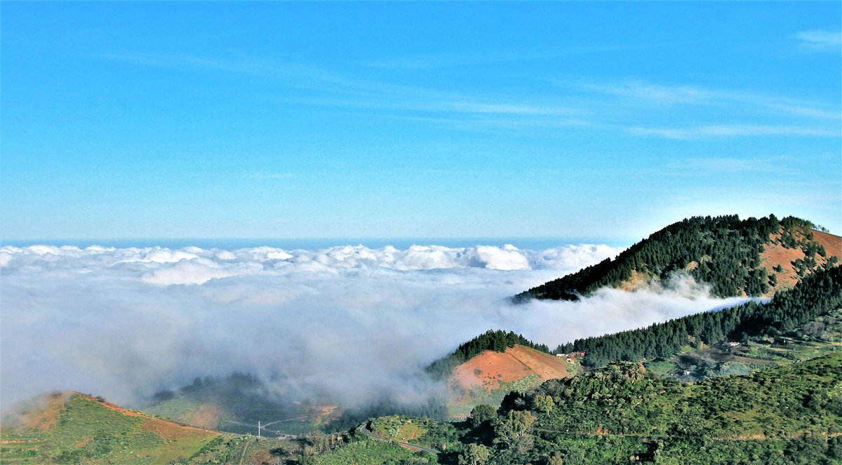 xploringamazing's tweet photo. Just a glimpse of an afternoon above the sea of clouds in #GranCanaria #CanaryIslands #exploringamazing https://t.co/v5PwAGhThW