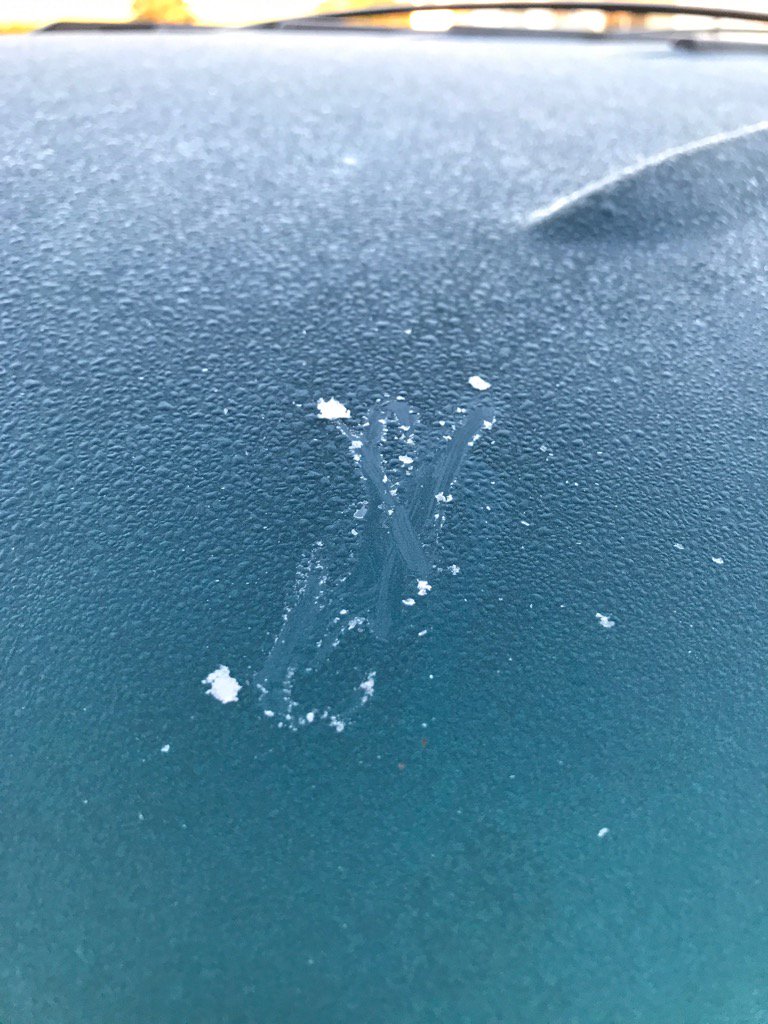 Lionel_HDSCEU7's tweet photo. June 24th and frost on the vehicles this morning...this is shaping up to be an unusual year. https://t.co/Rpcw3TgWFc