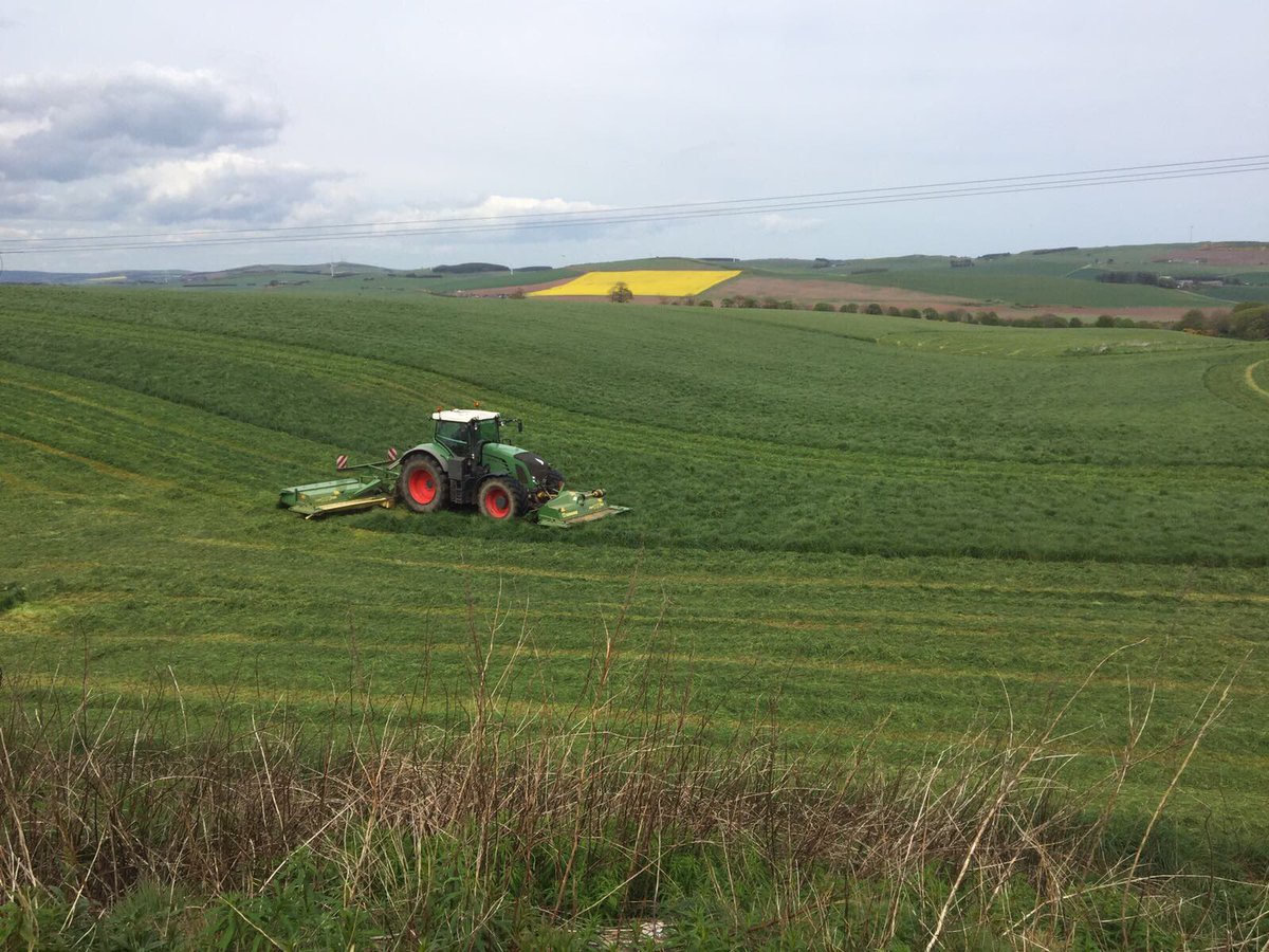 dendoldrumfarm's tweet photo. Gearing up to do this again. #secondcutsilage https://t.co/adACEbj1KY