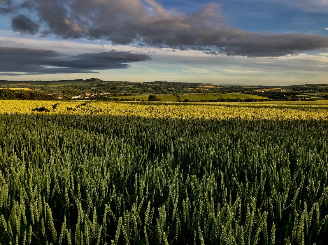 rayayf81's tweet photo. Out a walk around #boness  nice view towards #Linlithgow @ScotsMagazine @VisitScotland @scotlandonfilm #Scotland  #ScotSpirit #Landscapes https://t.co/gi5hX0ab7E