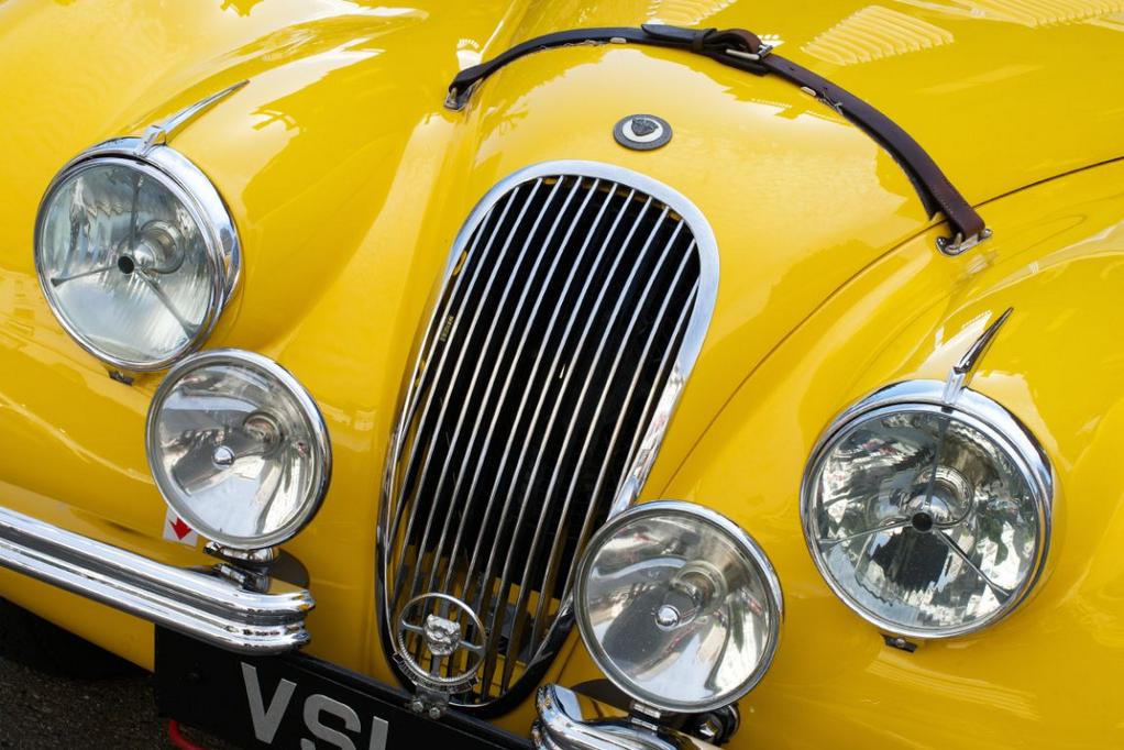 LeahRebeccaUK's tweet photo. It's not Saturday, it's #Caturday 🇬🇧 https://t.co/xxWaA1i7vr