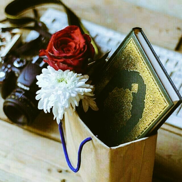 أسأل الله أن يرفع مقامنا كما رفع السماء ويتقبل منا الصلاة والدعاء 

ويوسع رزقنا عدد مانزل من الماء ويطوي صحائف أعمالنا نقية بيضاء