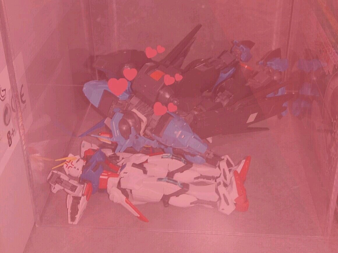 AIZU_be's tweet image. #Vidar : mmmmh mi amor
#BuildStrike : lache moi ou je te frappe !!!!
C'est chaud dans la vitrine du @cinephilstore  x-)
#Gunpla #Gundam