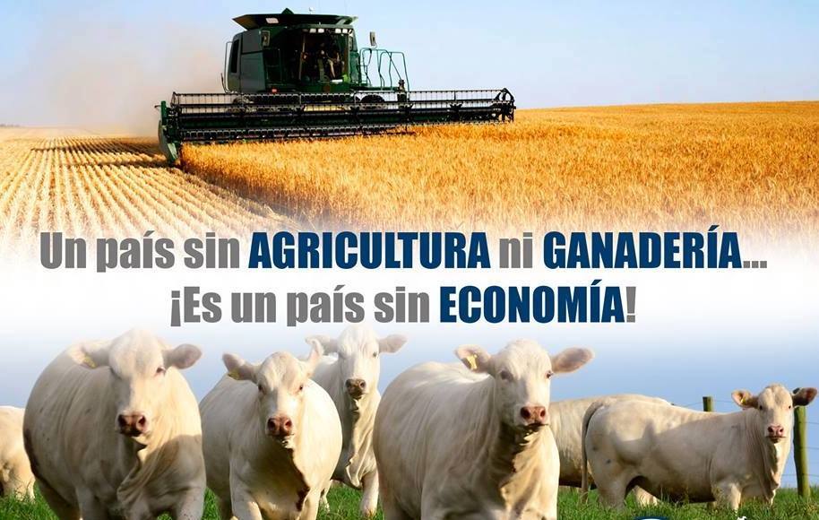 WernerGutierrez's tweet photo. "Un país sin AGRICULTURA ni GANADERÍA... ¡Es un país sin ECONOMÍA! RT https://t.co/uWBzKAQUMg" vía @consultagro #Venezuela