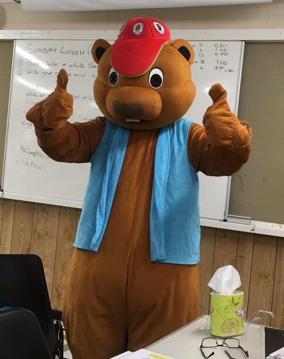 accbeaverderbs's tweet photo. Furry fred has landed https://t.co/1G9rf0PHdz