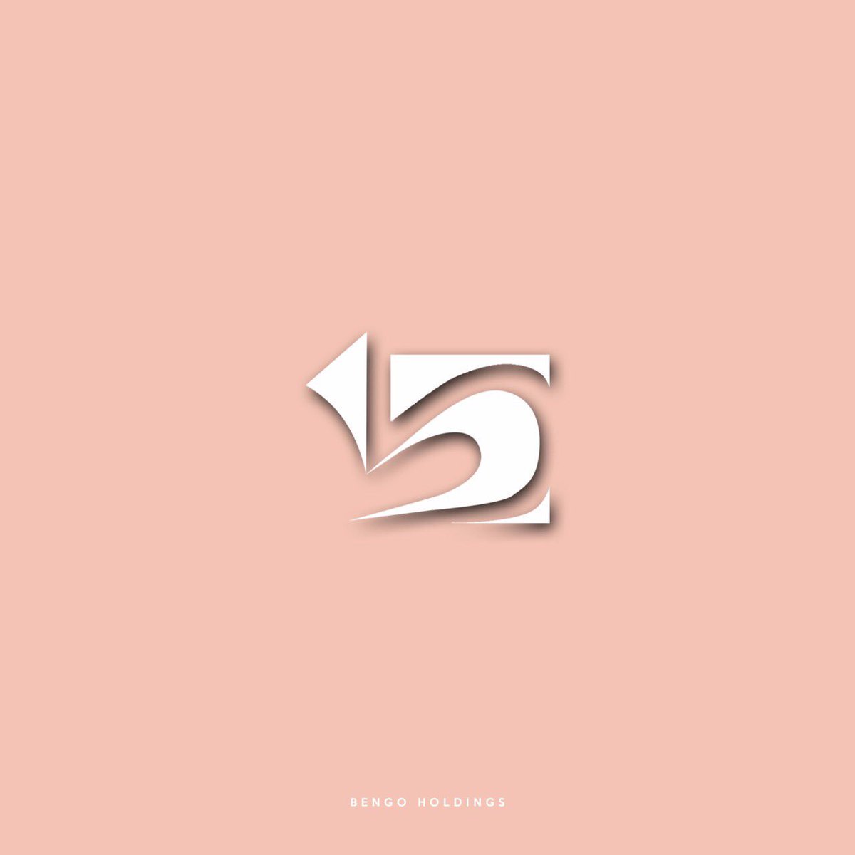 Bengo Holdings tweet media